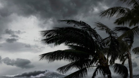 Tropical trouble could be brewing closer to home with new area to watch designated in the Gulf