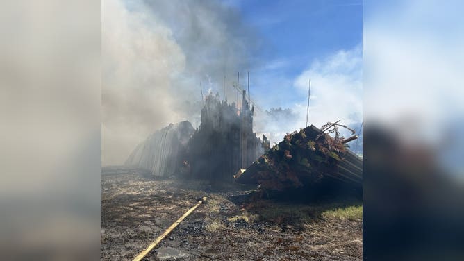 Charred landscape after a fire destroys a honey facility in Florida.