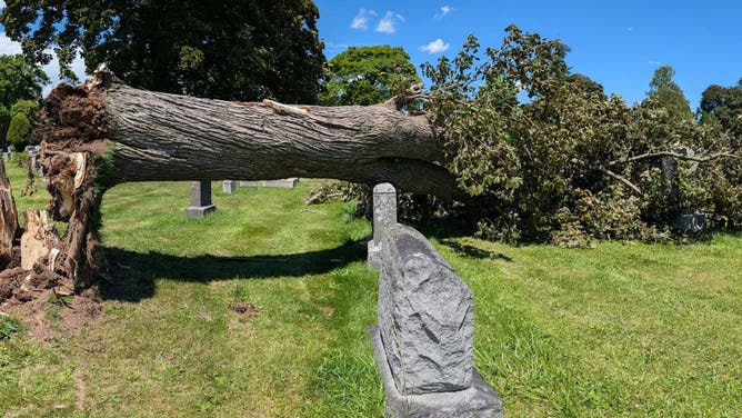 A large tree lies on the ground at a cemetery in upstate New York after a severe storm.