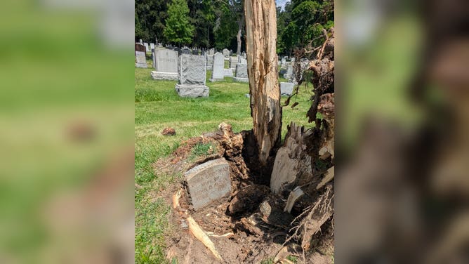 A 134-year-old gravestone emerges in upstate New York after a storm.