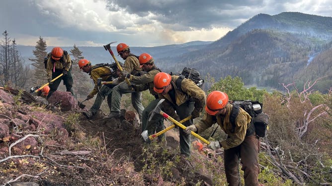 Los Padres Interagency Hotshot Crew is constructing direct fireline on the southwest portion of the Cottonwood fire above Birch Lake.