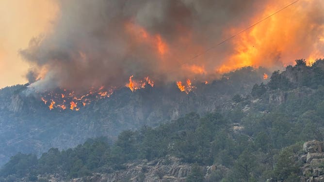 Flames from the Cottonwood Fire burn atop a mountain in Fishlake National Forest.