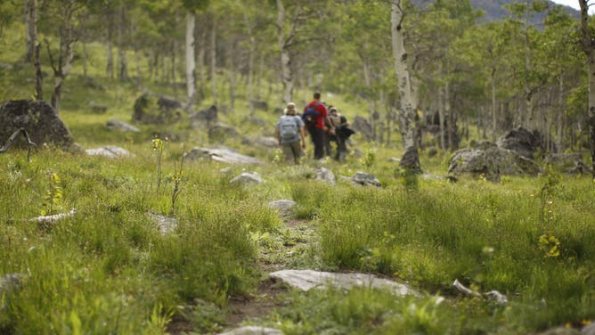 WIND RIVER RANGE - JULY 1: Bridger-Teton National Forest - A crew of volunteers worked for five days to repair and rebuild the Continental Divide Trail up to Gunsight Pass in the Wind River Range in Wyoming.