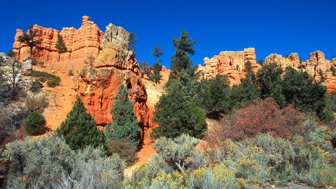 Red Canyon Hoodoos In Dixie National Forest, Near Bryce Canyon National Park.