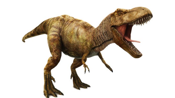Tyrannosaurus rex on white with a little shadow around the claws.