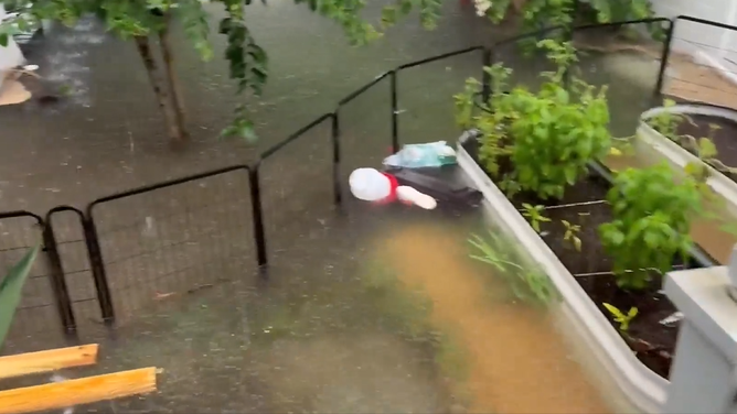 Flooded backyard in Mississippi.