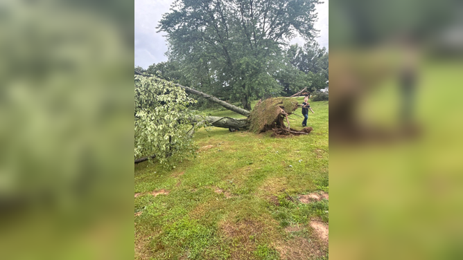 Severe storm damage just north of Robinson, near the communities of Annapolis and Porterville, Illinois.