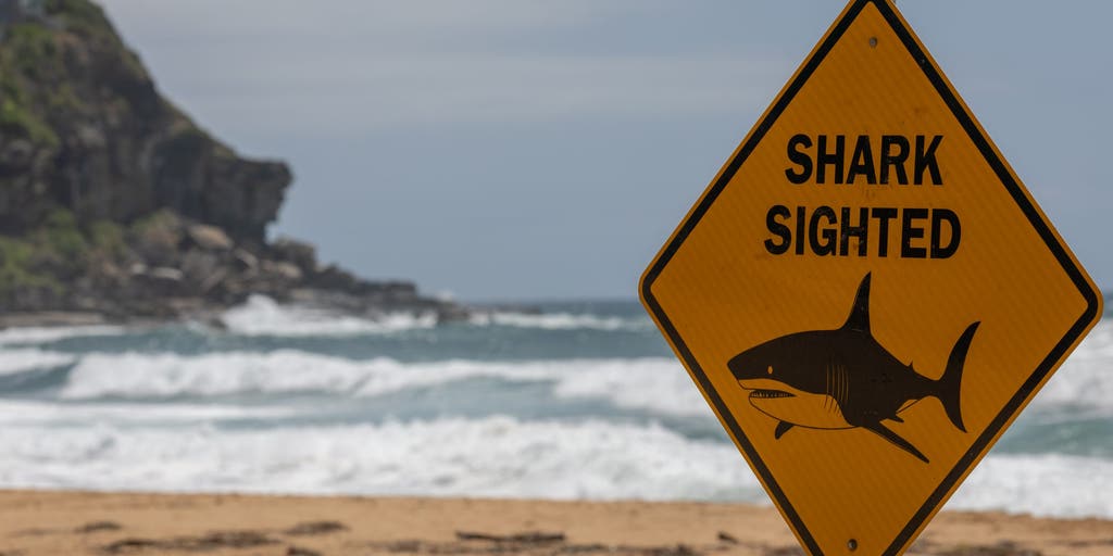 Country launches urgent aerial shark patrols after a young mother is mauled