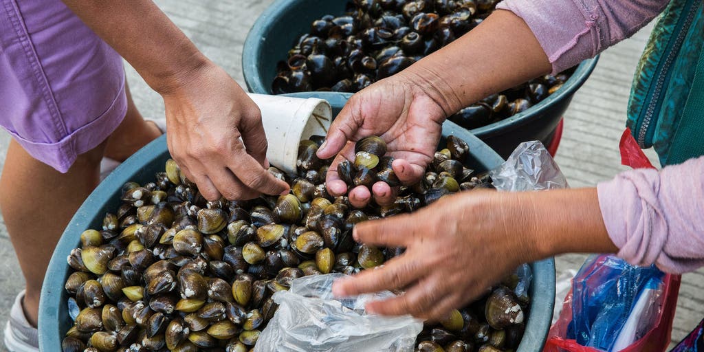 Popular $7 billion tiny, seafood delicacy is rapidly transforming into a new invasive species along the coast