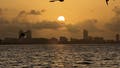 Massive Saharan dust plume to linger over Florida, Gulf Coast all week long with hazy skies and high heat - Fox News