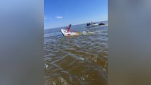 Whale strikes, sinks New Jersey fireboat, giving crew seconds to abandon ship