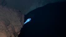 Hidden in plain sight: Scientists discover blind cavefish tucked away in Alabama cave