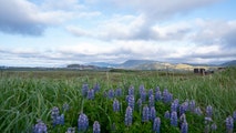 Magnitude 5.8 earthquake strikes Alaska’s Aleutian Islands along the Pacific Ring of Fire
