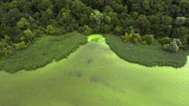 Toxic algae detected at Colorado's largest reservoir as officials warn visitors of health risks
