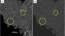 NASA finds clues to early solar system and life’s origins in pristine 2024 meteorite discovered in New Jersey