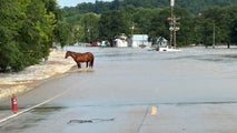Watch: Drone reveals devastating flash flooding sweeping through southeastern Missouri with more rain to come