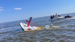 Whale strikes, sinks New Jersey fireboat, giving crew seconds to abandon ship