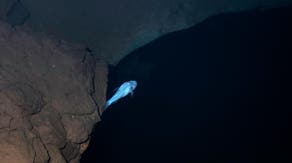 Hidden in plain sight: Scientists discover 'demon' cavefish tucked away in Alabama cave