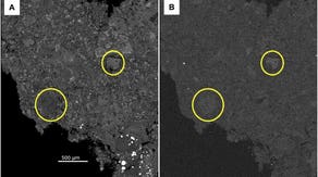 NASA finds clues to early solar system and life’s origins in pristine 2024 meteorite discovered in New Jersey