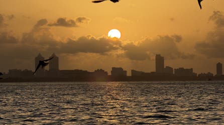 Massive Saharan dust plume to linger over Florida, Gulf Coast all week long with hazy skies and high heat