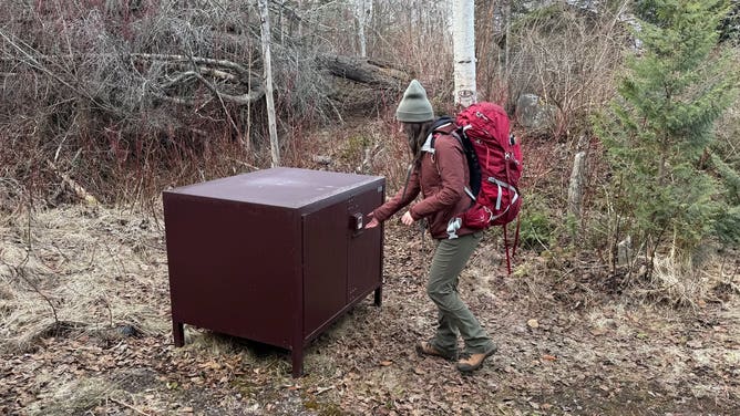 Someone approaching a food storage locker in Isle Royale National Park.