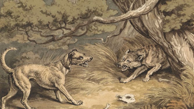 The Dog and the Wolf, Samuel Howitt, 1756–1822, British, undated, Watercolor and pen and brown ink over graphite on medium, slightly textured, cream wove paper, Sheet: 5 × 7 1/4 inches (12.7 × 18.4 cm), animal art, dog (animal), forest, wolf.