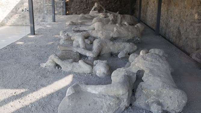 This picture taken on November 9, 2012 through the protective glass of the Orto dei fuggiaschi (The garden of the Fugitives)shows the13 bodies of victims who were buried by the ashes as they attempted to flee Pompeii during the 79 AD eruption of the Vesuvius volcano. The garden of the fugitives reoponed the same day to public after about a year of restoration works.