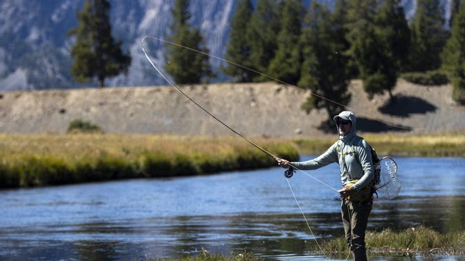 YELLOWSTONE NATIONAL PARK, WYOMING - AUGUST 29: A man fly fishes in the Madison River on August 29, 2024 in Yellowstone National Park, Wyoming. Department of the Interior's National Park Service reported in August that tourism spending in communities near national parks in 2023 resulted in a record spending of a $55.6 billion benefit to the nation's economy and supported 415,400 jobs.
