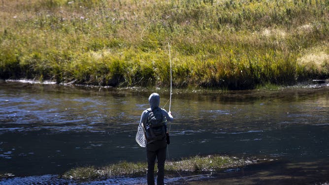 YELLOWSTONE NATIONAL PARK, WYOMING - AUGUST 29: A man fly fishes in the Madison River on August 29, 2024 in Yellowstone National Park, Wyoming. Department of the Interior's National Park Service reported in August that tourism spending in communities near national parks in 2023 resulted in a record spending of a $55.6 billion benefit to the nation's economy and supported 415,400 jobs.