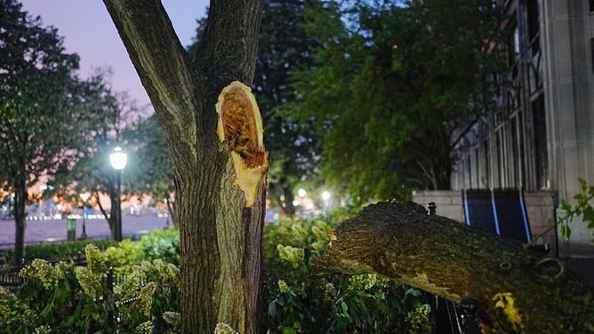 NEW YORK CITY, UNITED STATES - JULY 3: Tree branches lie across a sidewalk after a severe storm swept through New York City, United States, on July 3, 2026. The storm caused damage in parts of Manhattan, breaking tree branches and affecting public areas.