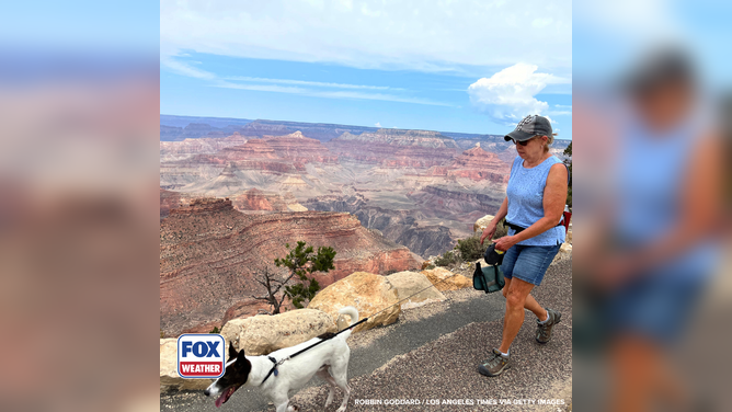 Dogs walking at Grand Canyon National Park.