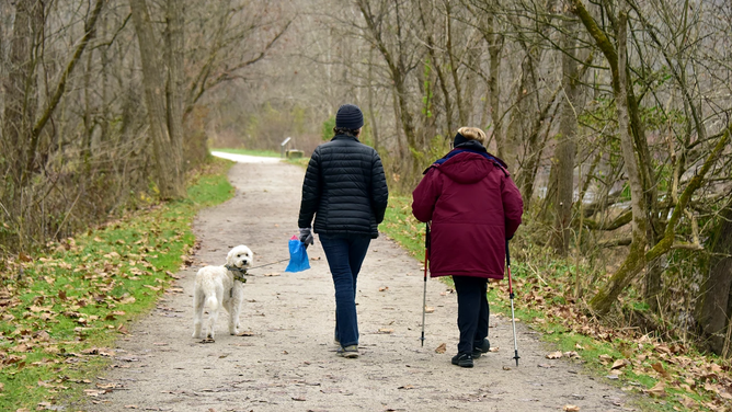 Dog walking through National Park.
