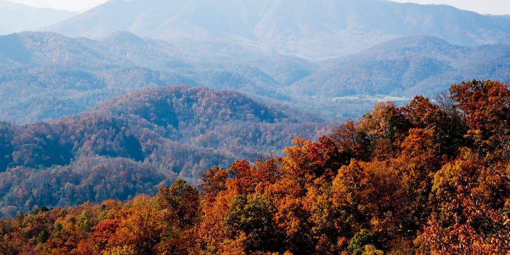 Leaf-peeping season is almost here. Here's where to catch peak fall colors