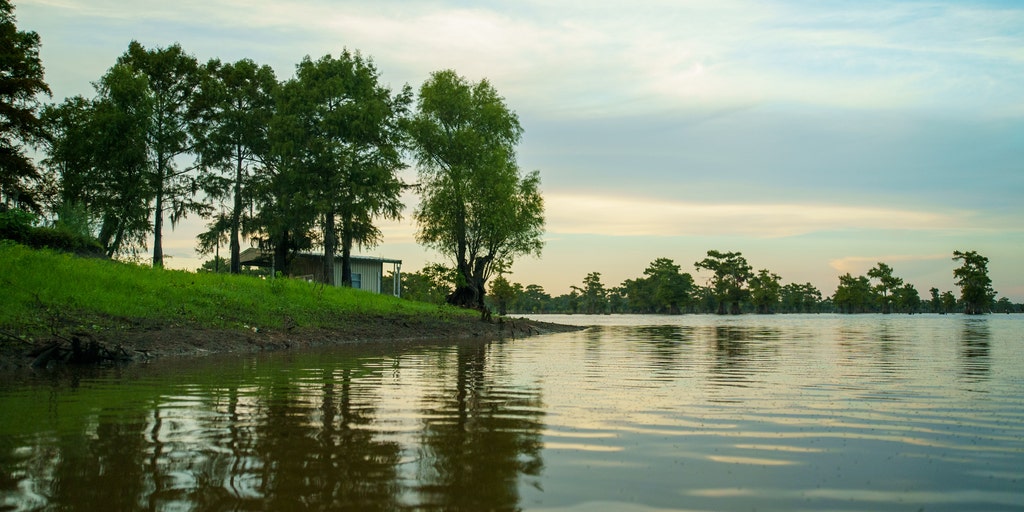 8-year-old girl dies from suspected brain-eating amoeba in Louisiana