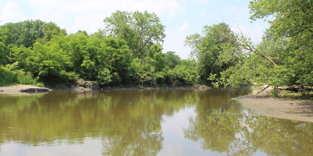 Mother tragically drowns after rescuing son from Des Plaines River in Illinois