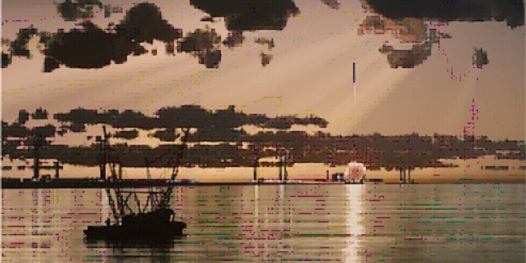 SpaceX announces massive multibillion-dollar Starbase development on Louisiana coast