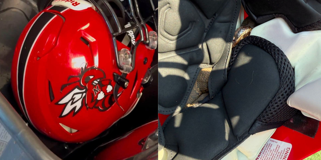 Close call: Young football player finds venomous snake inside helmet before practice