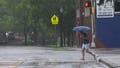 Heavy rain and thunderstorms trigger severe weather alerts across portions of East Coast to begin new week - Fox News