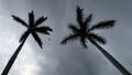 Monster storms brewing in the Pacific as Champi eyes rare Guam landfall while Trudy targets Mexico - Fox News