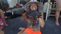 Over 150 invasive lionfish speared from Gulf coral reef during diving research expedition