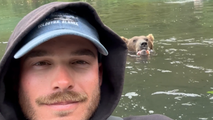 Video: Fisherman and grizzly bear share Alaskan river while hunting for salmon