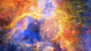 NASA captures stunning new view of Tarantula Nebula revealing details about how stars are forming