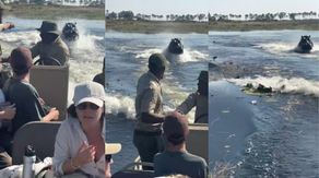 Dramatic video shows massive hippo chasing down boat filled with tourists in African waterway