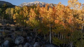 Fall foliage forecast: Why some areas might experience a spotty season