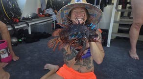 Over 150 invasive lionfish speared from Gulf coral reef during diving research expedition