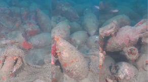 Video: Roman-era shipwreck from over 2,000 years ago discovered at bottom of ocean near Sicily