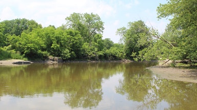 Mother tragically drowns after rescuing son from Des Plaines River in Illinois