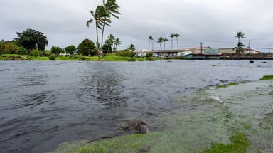 Hawaii faces rare tropical threat for second time in two weeks as Future Tropical Storm Moke approaches