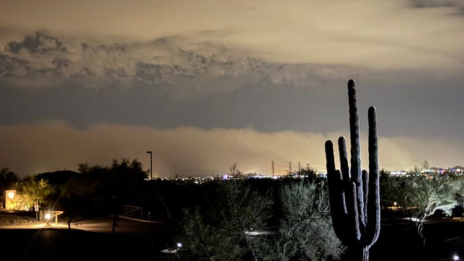 Large plumes of dust from a dust storm in Southwest Arizona this week.