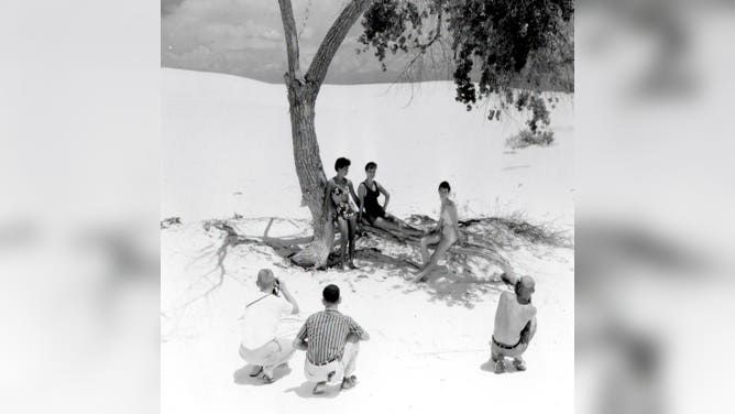 The Rio Grande Cottonwood tree in White Sands National Park back in 1959.